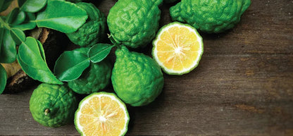 100% Bergamot - Essential Oil